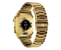 MAXCOM FW65 Iron S Gold - 1268831 - zdjęcie 6